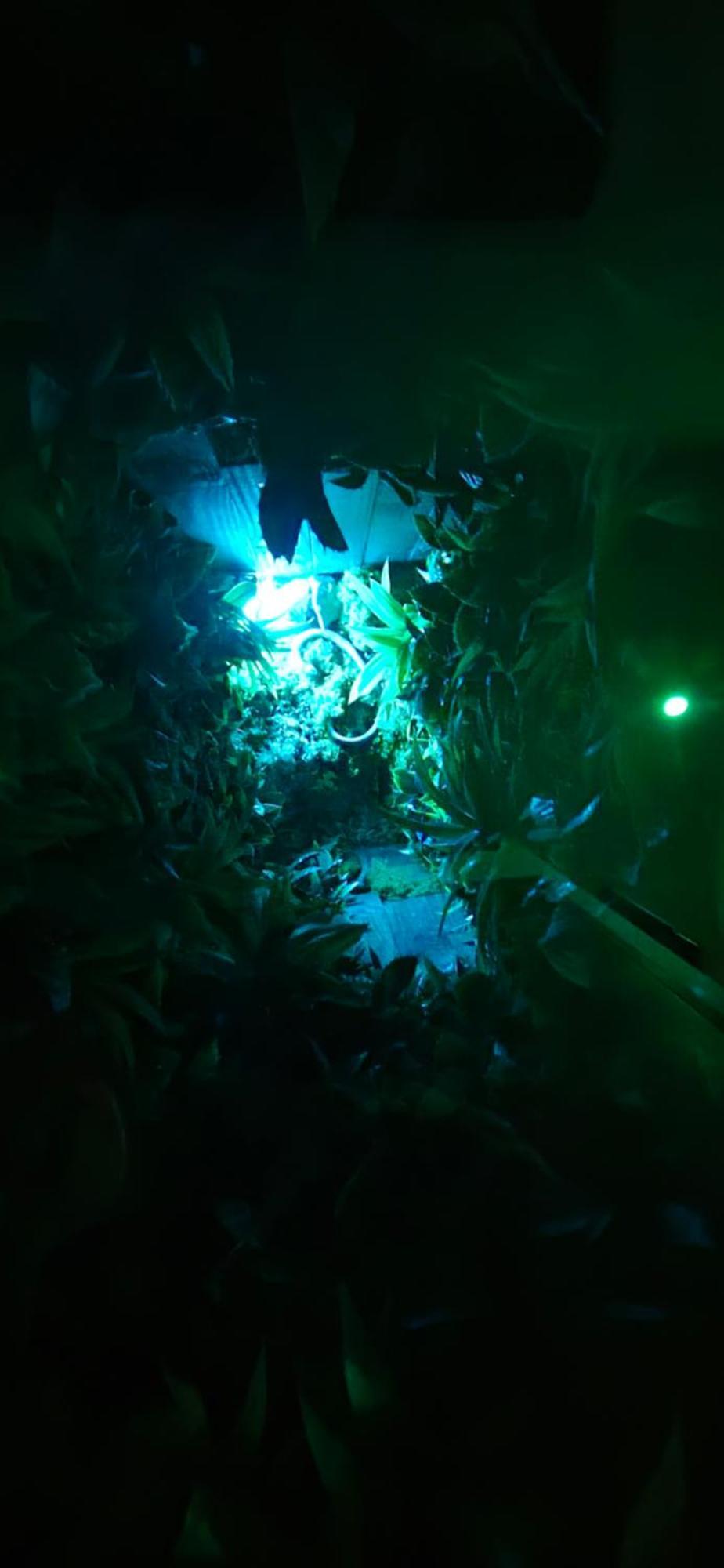 La Jungle Room Rognac Dış mekan fotoğraf